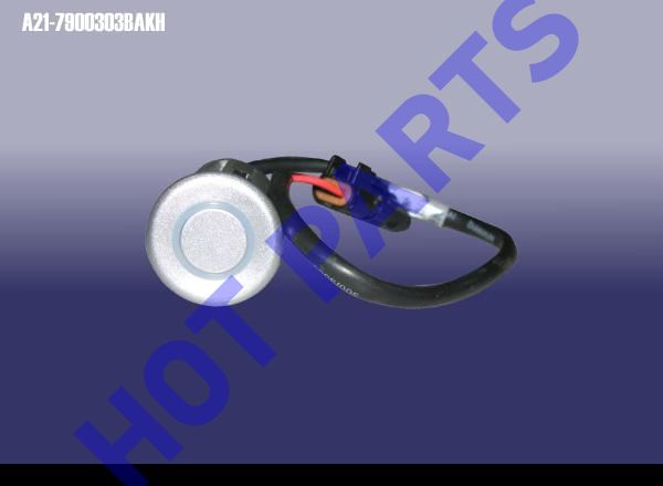 PROBE RR