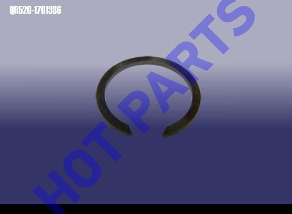 картинка RING - SNAP  QR520-1701386