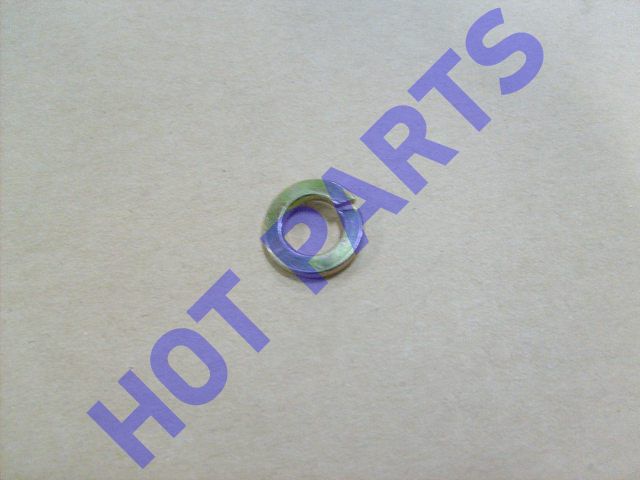 SPRING GASKET (10)